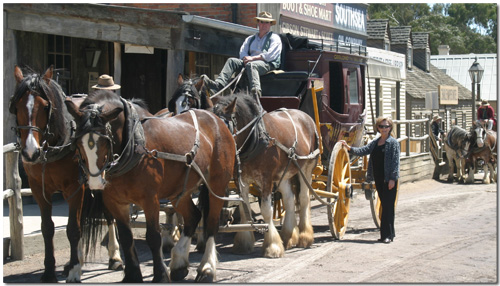 Carolyn at BallaratAren't the horses simply gorgeous...!
