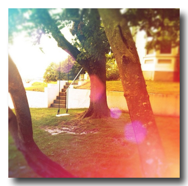 Image Reproduced from Ermilia's BlogImage by Marisa Lyon