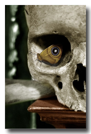 Image from likes.com/misc/amazing-photographs-that-are-optical-illusions