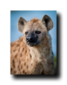 Image Credit: Hannes Buys/Shutterstock.com