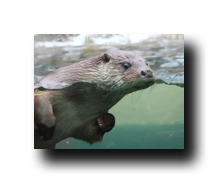 Image Credit: Kletr/Shutterstock.com