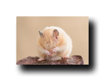 Image Credit: stock shot/Shutterstock.com