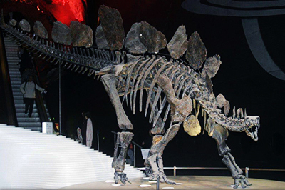 DinosaurKeithImageLondonMuseum2015