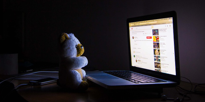 bear-2382779_960_720