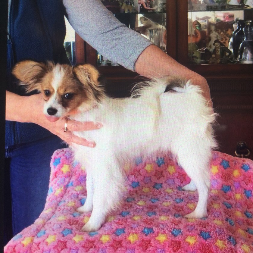 CBE0005D-20C4-490A-BF26-51B57A41A799