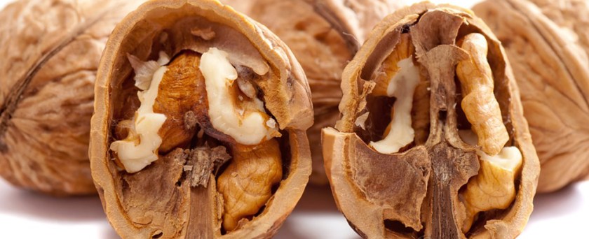 walnuts-2312506_960_720