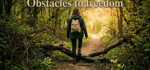 Person with backpack stepping over a fallen tree on a forest trail