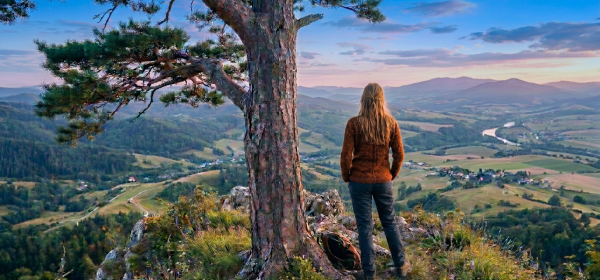 Person standing by a tree on a mountain summit overlooking a valley with hills and a river