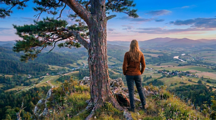 Person standing by a tree on a mountain summit overlooking a valley with hills and a river